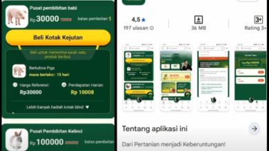 Aplikasi Farm Wealth Apakah Aman Atau Penipuan? Review Jujur!