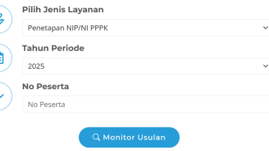 Cara Melihat Status Pengajuan NIP PPPK Paruh Waktu 2025, DITOLAK, REVISI/DISETUJUI? Cek di Sini!
