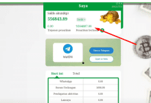 Berhasil Cair 9 Juta! Modal WhatsApp X WaIDN, Ini Caranya!