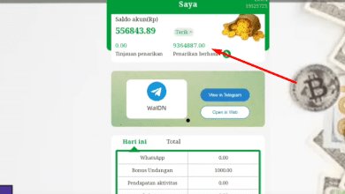 Berhasil Cair 9 Juta! Modal WhatsApp X WaIDN, Ini Caranya!