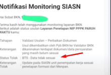 4 Cara Mengatasi Status BTS Pada Usulan NIP PPPK Paruh Waktu 2025