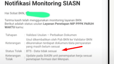 4 Cara Mengatasi Status BTS Pada Usulan NIP PPPK Paruh Waktu 2025