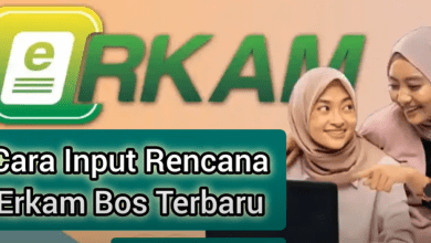 Cara Input Rencana eRKAM BOS Triwulan 3 dan 4 & Syarat Pencairan