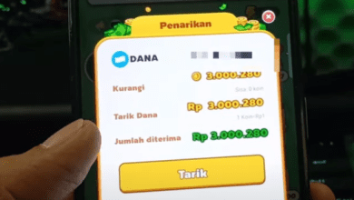 Bongkar! 7 Cara Mendapatkan 3 Juta Koin Dari Fruit Boom Apakah Terbukti? Cek Disini