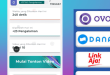 VizorTube Apakah Terbukti Membayar? Review Penarikan $238
