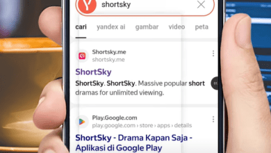 6 Cara Menghasilkan Uang Dari Yandex Terbaru 2025 Bisa Coba ini!