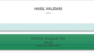 Validasi Info GTK Tahap 3 Belum Valid? Ini Penyebab dan Solusinya!