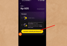 Cara Menarik Uang di Aplikasi Melolo ke DANA atau OVO Terbaru!