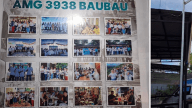 Aplikasi AMG Pantheon Apakah Aman atau Scam/Penipuan? Trading Crypto Katanya Untung Terus