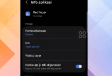 Cara Mengatasi Lag di Aplikasi Redfinger Game Jadi Patah-Patah