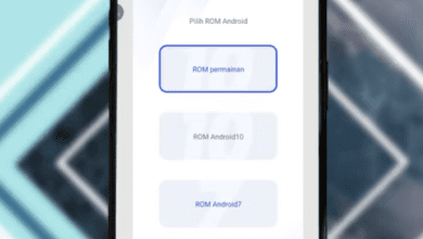 Cara Mengatasi Masalah di Aplikasi Vphonegaga Error Dll Auto Normal Kembali