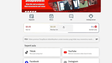 Cara Main SnapBoost Agar Menghasilkan Uang Untuk Bisnis Pemula