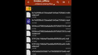 Cara Download Video Melolo ke Galeri HP Tanpa Watermark