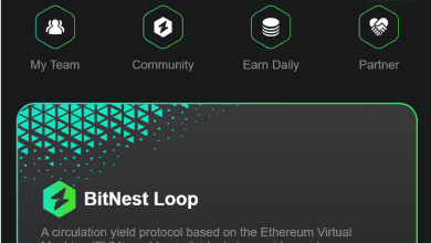 Aplikasi Bitnest Investasi Crypto Apakah Terbukti Membayar atau Penipuan?