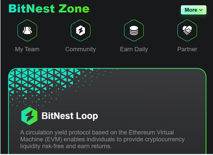 Aplikasi Bitnest Investasi Crypto Apakah Terbukti Membayar atau Penipuan?