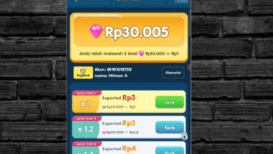 Review Apk Water Pour Puzzle Apakah Menghasilkan Uang? Cek Fakta!