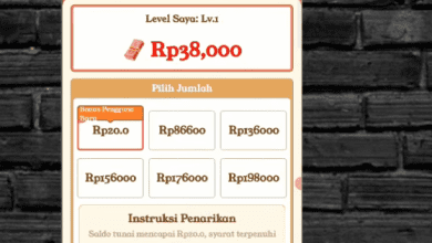 Diamond Combo Apakah Terbukti Membayar? Review Wd 86.600