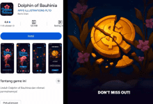 Dolphin of Bauhinia Apakah Menghasilkan Uang dan Terbukti Membayar? Review Jujur