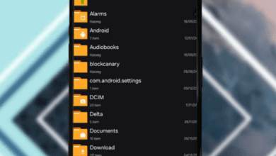 Cara Mengatasi Operasi Selesai Dengan Kesalahan di ZArchiver yang Gagal Ekstrak File