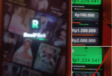 Cara Menarik Uang dari ReelFlick ke DANA, WD 700 Ribu Terbukti Membayar atau Penipuan?