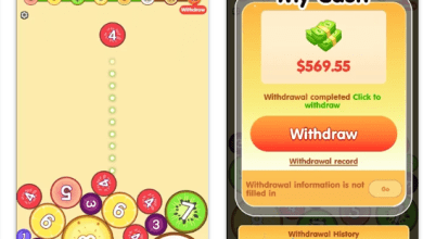 Merge Fruit Master Apakah Terbukti Membayar? Review Jujur Penarikan ke DANA