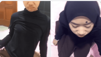 Video Sok Imut Viral di TikTok, Link Videy.co Durasi 7 Menit Jadi Perbincangan Netizen