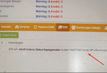 7 Cara Mengatasi Invalid NIP PPPK Paruh Waktu di Dapodik 2026, Ini Solusi Anti Gagal!