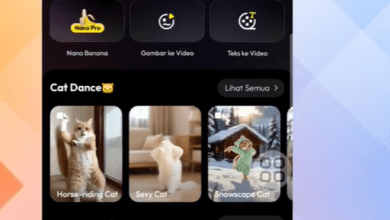 Cara Menggunakan Aplikasi Vivago.ai untuk Pemula, Kenali Fitur dan Manfaatnya