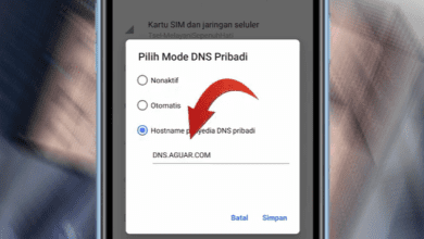 2 Cara Menghilangkan Iklan di Aplikasi Melolo Terbaru 2026 100% Berhasil!