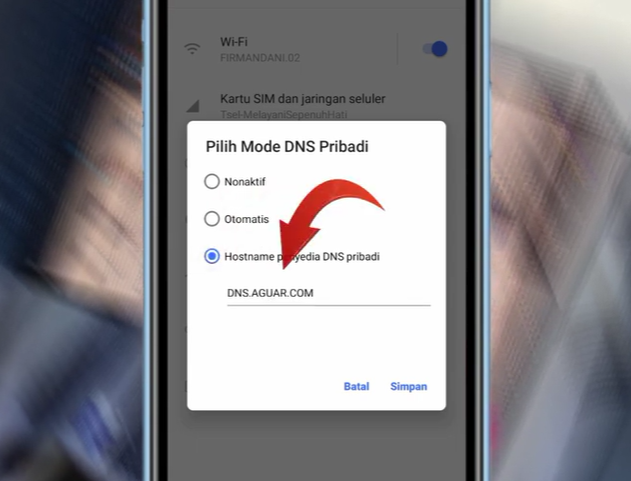 2 Cara Menghilangkan Iklan di Aplikasi Melolo Terbaru 2026 100% Berhasil!