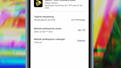 Cara Berhenti Langganan Aplikasi Melolo Terbaru, Hindari Saldo DANA Terpotong Otomatis