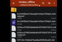 Cara Mengunduh Video Melolo Langsung ke Galeri Tanpa Aplikasi Work 100%