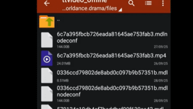 Cara Mengunduh Video Melolo Langsung ke Galeri Tanpa Aplikasi Work 100%