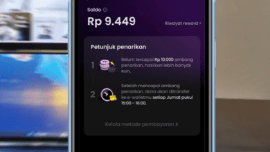 Saldo Melolo Tidak Masuk ke DANA? Ini Cara Lengkap Mengatasinya dengan Aman