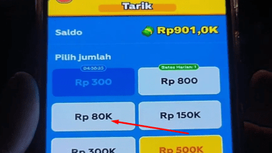 Cara Menarik Saldo Rp80.000 dari Puzzle Farm Terbukti Membayar ke DANA!