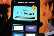 Cara Mendapatkan Uang di ReelLand Apk Terbaru Langsung Cair ke DANA