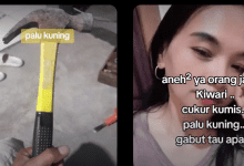 Link Palu Kuning Viral Full Zoom di Videy.co, Benarkah Ada Video Aslinya? Ini Fakta yang Perlu Diketahui