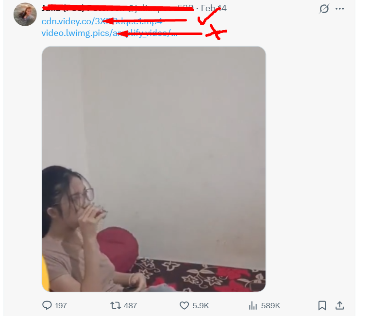 Link Video Teh Pucuk Viral 17 Menit di Twitter X Mulai Tersebar, ini Cara Menemukan Rekaman Asli