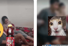 Isi Video Viral Teh Pucuk 17 Menit Terbongkar dari Link Rekaman Aslinya!