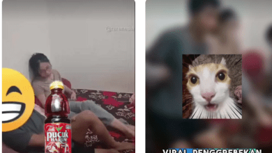 Isi Video Viral Teh Pucuk 17 Menit Terbongkar dari Link Rekaman Aslinya!