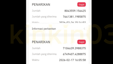 SnapBoost Apakah Masih Aman atau Sudah Mengarah ke Penipuan? Penarikan Mulai Gagal!