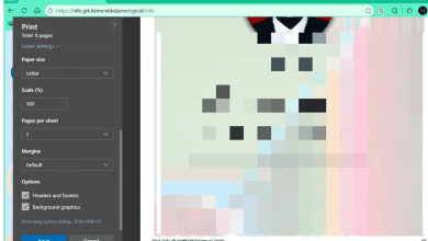 Cara Print Out Info GTK 2026 untuk Guru, Menyimpan File PDF dan Mencetak Data GTK