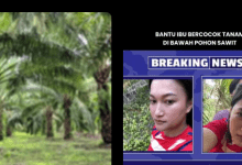 Link Ibu Tiri Ladang Sawit Viral Full 7 Menit x Anak Tiri Apakah Ada? Cek Fakta!