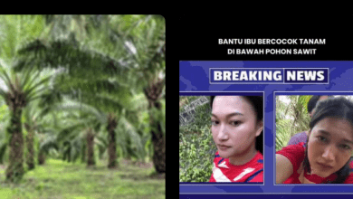 Link Ibu Tiri Ladang Sawit Viral Full 7 Menit x Anak Tiri Apakah Ada? Cek Fakta!