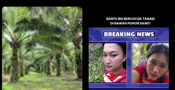 Link Ibu Tiri Ladang Sawit Viral Full 7 Menit x Anak Tiri Apakah Ada? Cek Fakta!