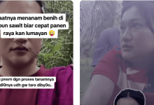 Ibu Tiri vs Anak Tiri Viral TikTok Main di Kebun Sawit, Adakah Link Video Aslinya?