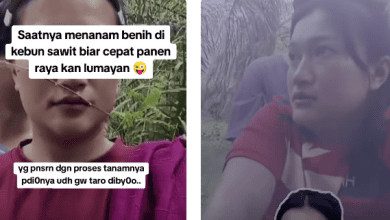 Ibu Tiri vs Anak Tiri Viral TikTok Main di Kebun Sawit, Adakah Link Video Aslinya?