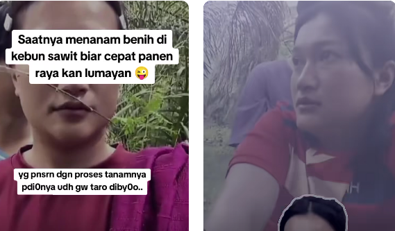 Ibu Tiri vs Anak Tiri Viral TikTok Main di Kebun Sawit, Adakah Link Video Aslinya?
